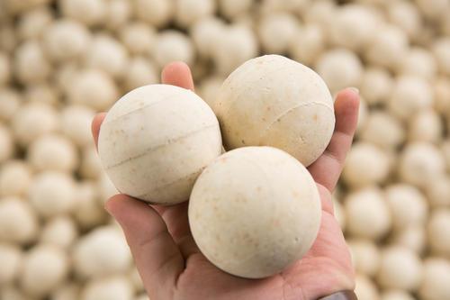 <a href='http://m.everok.com.cn/ml/71.html' target='_blank'><u>高鋁蓄熱球生產廠家</u></a>