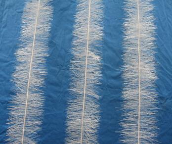 w<a href='http://m.everok.com.cn/jstl/' target='_blank'><u>aS</u></a>