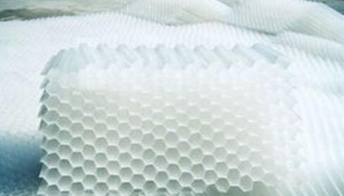 福建pp六角<a href='http://m.everok.com.cn/jstl/60.html' target='_blank'><u>蜂窩斜管填料生產廠家</u></a>
